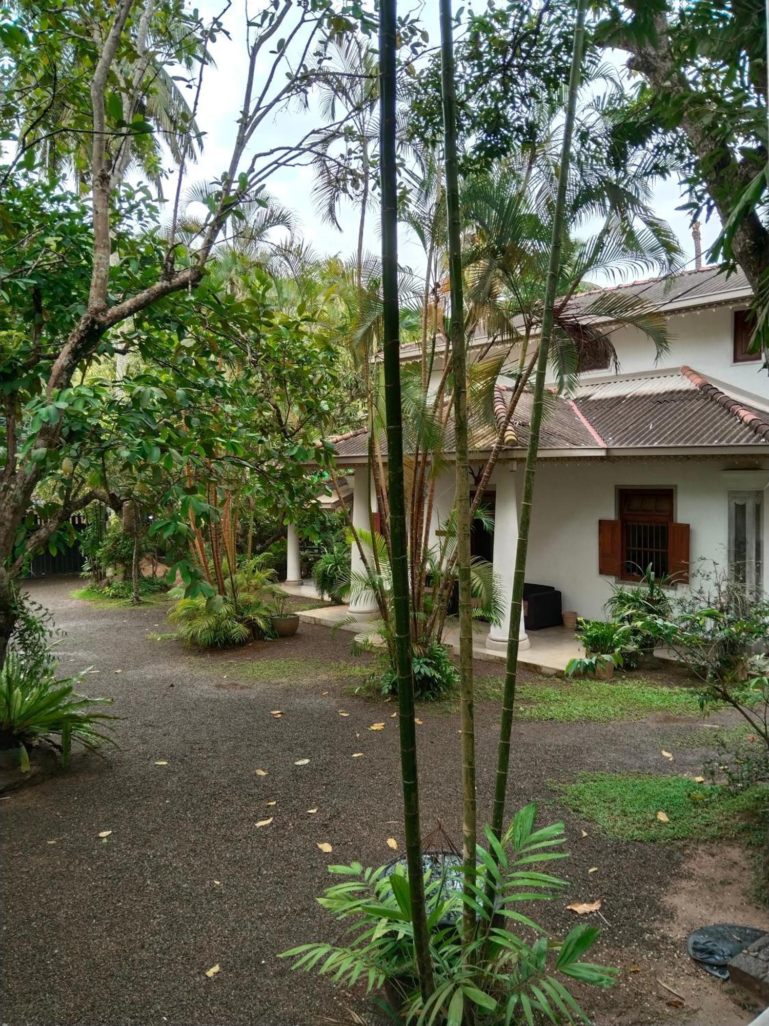 Silva Rest